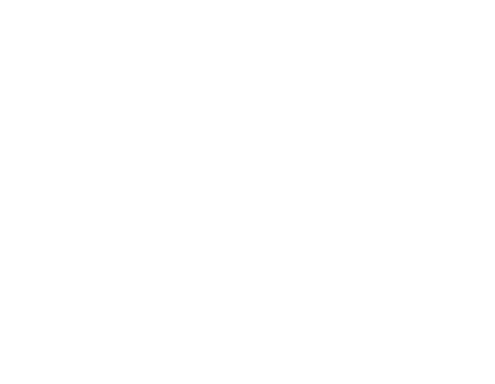VIP-ZM e.V.
